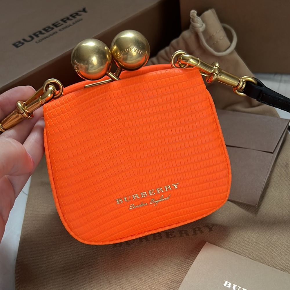 BURBERRY Mini Lizard Frame Bag 🔥🍊